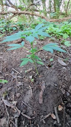 20210515_194907.jpg