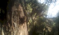 IMG_20210205_083513.jpg