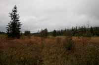 DSC_7399.JPG