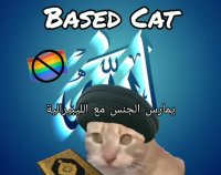 wahhabi cat.webm