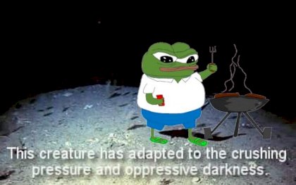 0b2698e44bacb71f.jpg