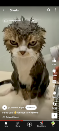 Screenshot_20240414-214050.png
