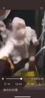 6c384dfd1aaa76e8.mp4