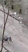 VID_20220227_171403_830.mp4