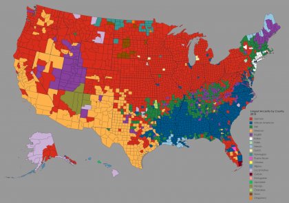 ethnicity map.jpg