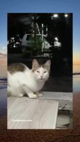 369065503.mp4