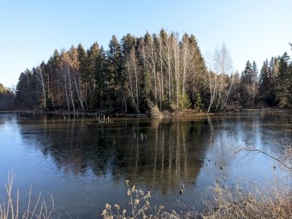 PXL_20211104_080020173.jpg