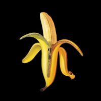The Dandy Warhols - Welcome To The Monkey House - 10 - Heavenly.mp3