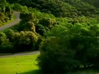 Relaxing Car Drive.mp4