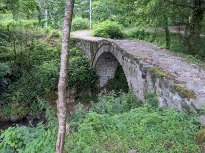 IMG_20220624_171223_205.jpg