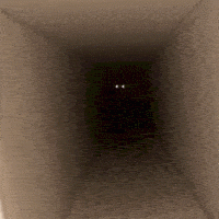 kot.gif