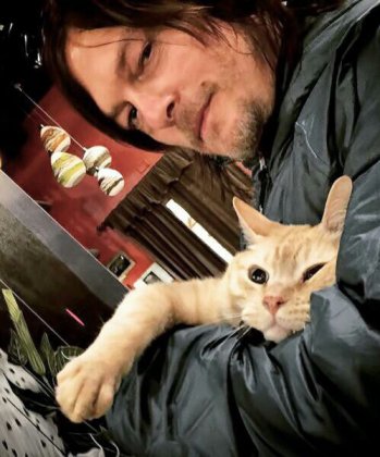 actor-cat-cute-daryl-dixon-Favim.com-3753809.jpg