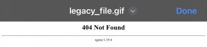 IMG_4761.jpeg