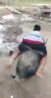 d27ca1aeb0464b8d.mp4