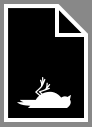 dead bird.png
