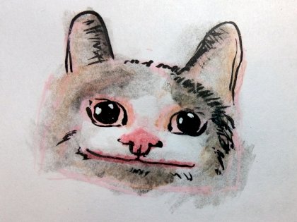 meme-cat-1.jpg