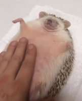 1649009748425.webm