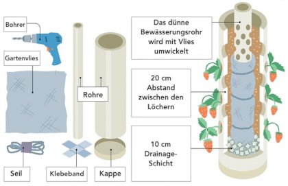 Erdbeeren-im-Rohr-Bauanleitung-Erdbeerturm-Bewässerungsrohr.jpg