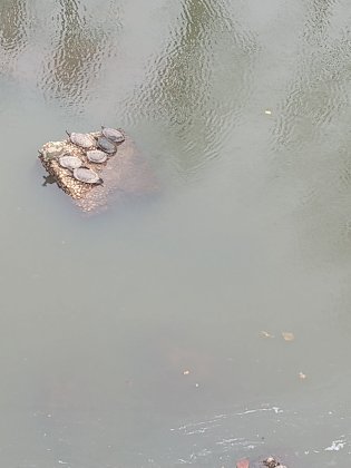 IMG_20221208_123055737.jpg