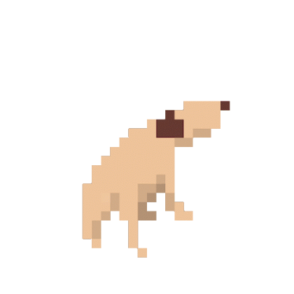dogito.gif