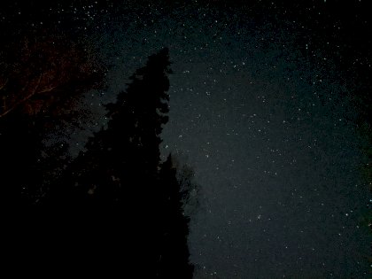 PXL_20220503_182244401.NIGHT.jpg