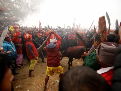 Nepal-festival.jpg