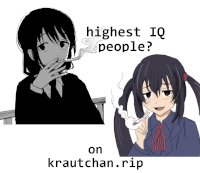 kc iq level.jpg