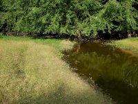 20190924_160434.jpg