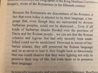 bonifini.jpg