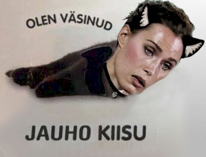 jauho kiisu.jpg