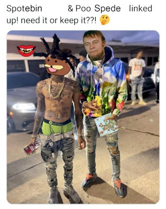 Spotebin.jpg
