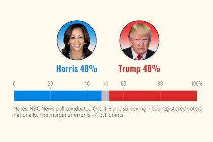 241011-election-poll-3x2-4c78ec.jpg