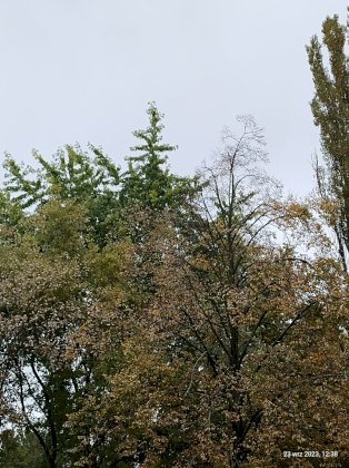 IMG_20230923_123823001.jpg