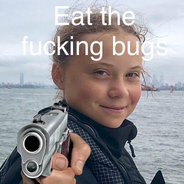 photos.jpg