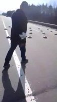 MpKb2nsC9gIlxt6b.mp4