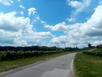 IMG_20200719_114346_0.jpg