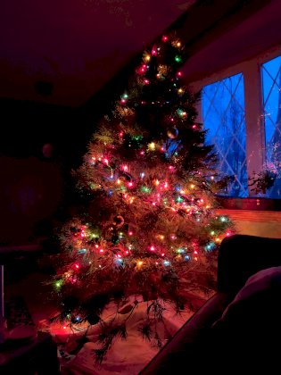 IMG_20211224_065624.jpg