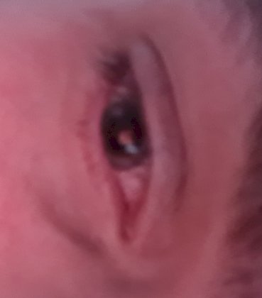 20210619_054958.jpg