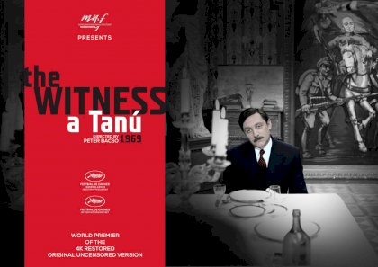 The-Witness.jpg