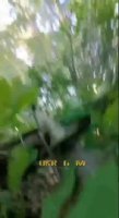 IMG_20220620_105337_174.mp4