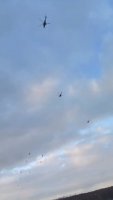 1_4917992116631634673.mp4