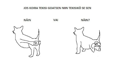 koira goatse.jpg