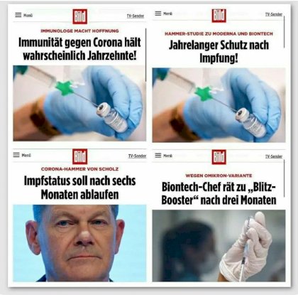 Lebendslanger Schutz.jpg