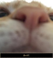1579909458715.jpg