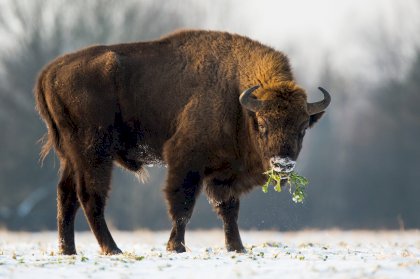 8-AdobeStock_246889383-scaled[1].jpeg