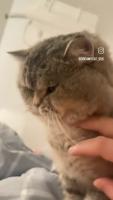 azxgRgp_460svav1.mp4
