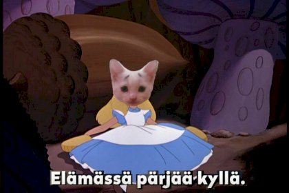 elämässä pärjää.jpg