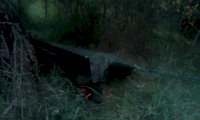 IMG_20201014_194725.jpg
