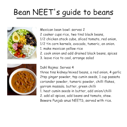 beanguide3.png
