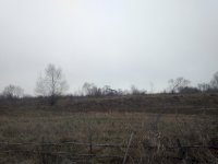 IMG_20191121_134657.jpg